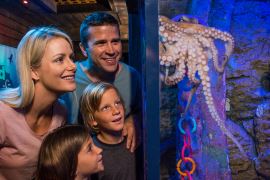 Children's Aquarium Admission, Off-Peak