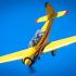 Warbird Aerobatic Flight