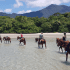 Cape Tribulation Afternoon Beach Horse Ride