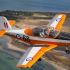 CT4 Air Trainer 45-Minute Aerobatic Flight