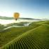 Ballooning the Yarra Valley with Breakfast, Child