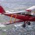 Nostalgic Tiger Moth Flight, 45-minutes