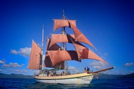Tall Ship Discovery Cruise on the Coral Trekker