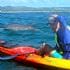 Sea Kayak and Dolphin Tour, Byron Bay Marine Park
