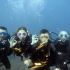 Introductory Dive, Sunshine Coast Reefs